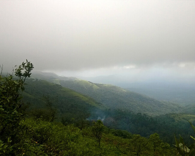 Nenapu Homestay